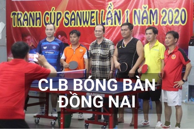 Danh sách câu lạc bộ bóng bàn tại Đồng Nai